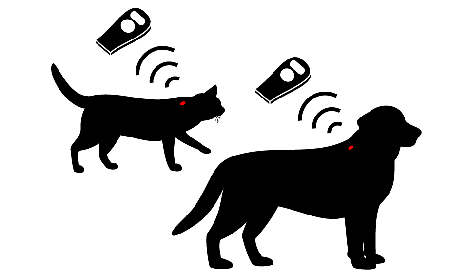 Illustration of a cat & dog with microchipped